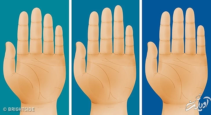 ۸ عضو بدن که بیانگر ویژگیهای شخصیتی هستند ۸ عضو بدن که بیانگر ویژگیهای شخصیتی هستند